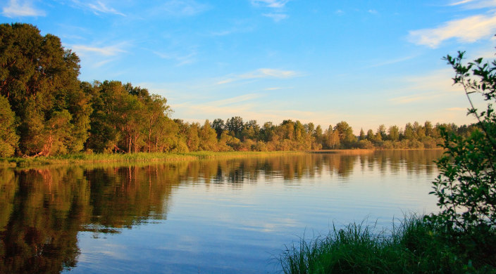 Cakn river with autumn-looking trees on the far bank